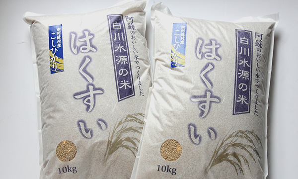 白川水源のお米　はくすい米（こしひかり）